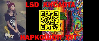 дмт Донской