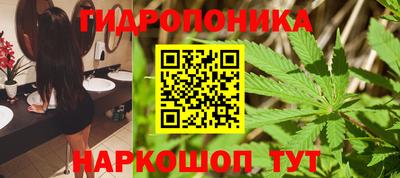 дмт Донской