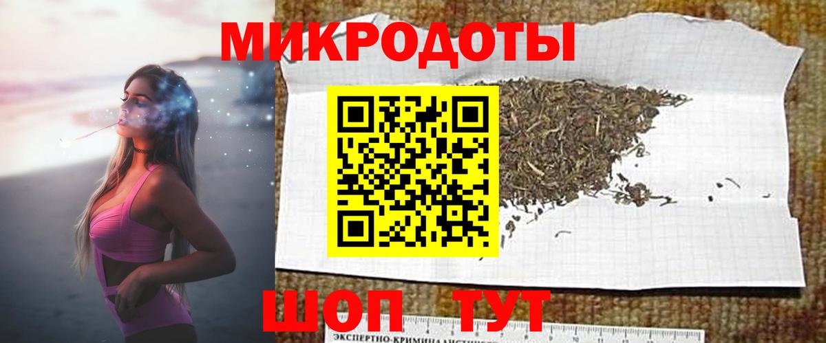 Галлюциногенные грибы Psilocybe Луховицы
